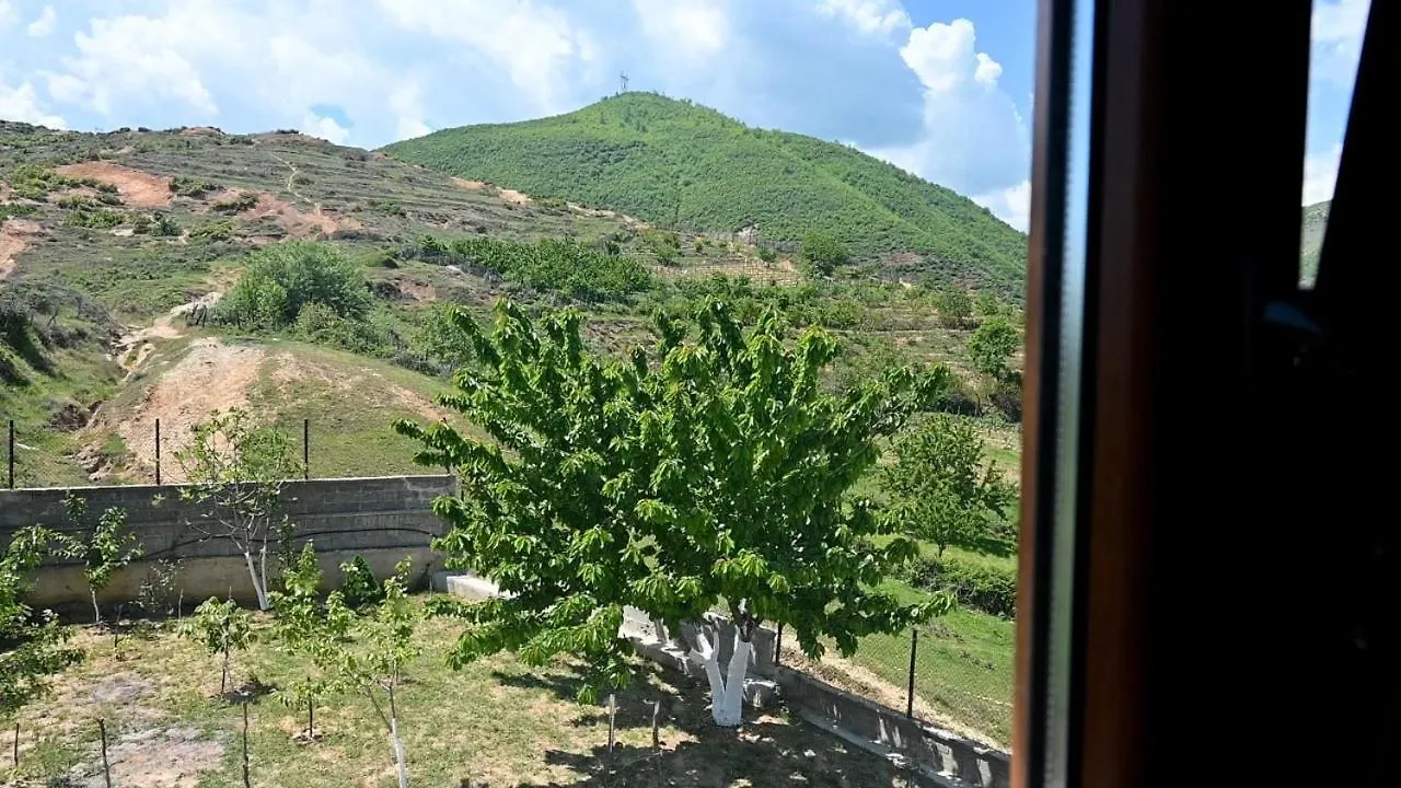 Vila Topalli Villa Pogradec 0*,  Albania